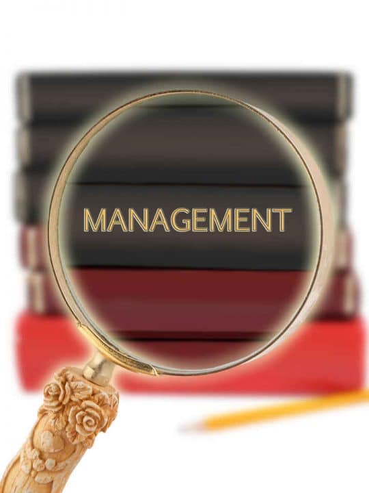 Management-Studies